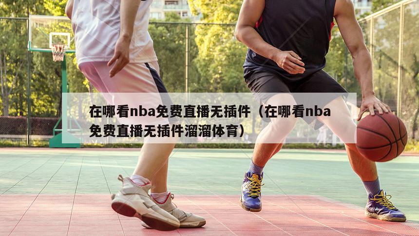 在哪看nba免费直播无插件（在哪...