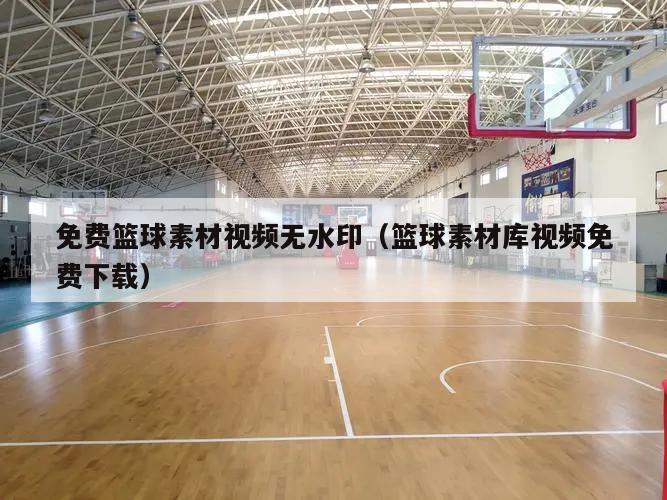 免费篮球素材视频无水印（篮球素材...
