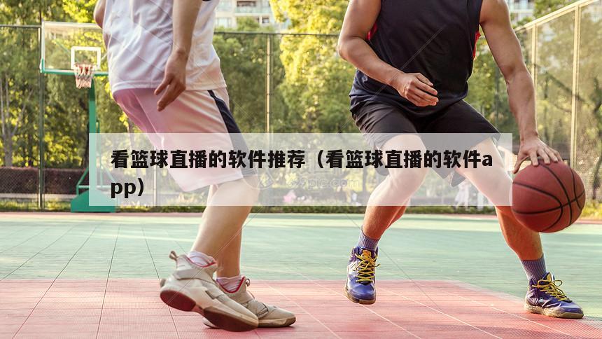 看篮球直播的软件推荐（看篮球直播的软件app）