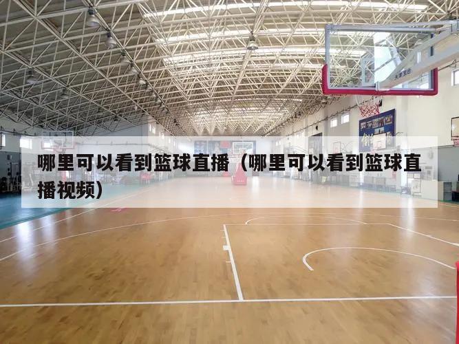 哪里可以看到篮球直播（哪里可以看...